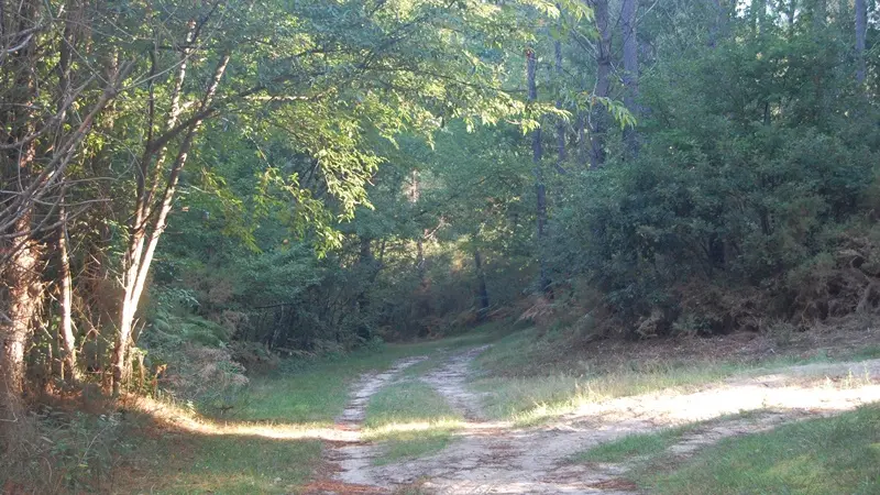 circuit 16-8-2-2