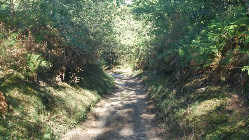 circuit 16-8-2-3