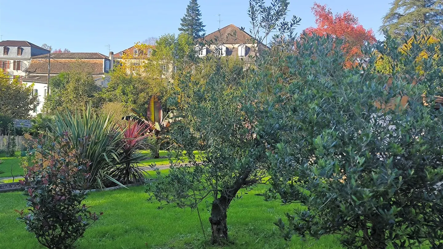 Studio Les Treilles de Salies