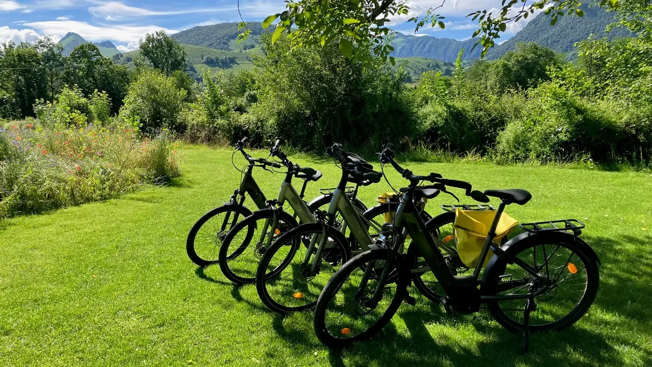 Location vélos VTC à assistance électrique