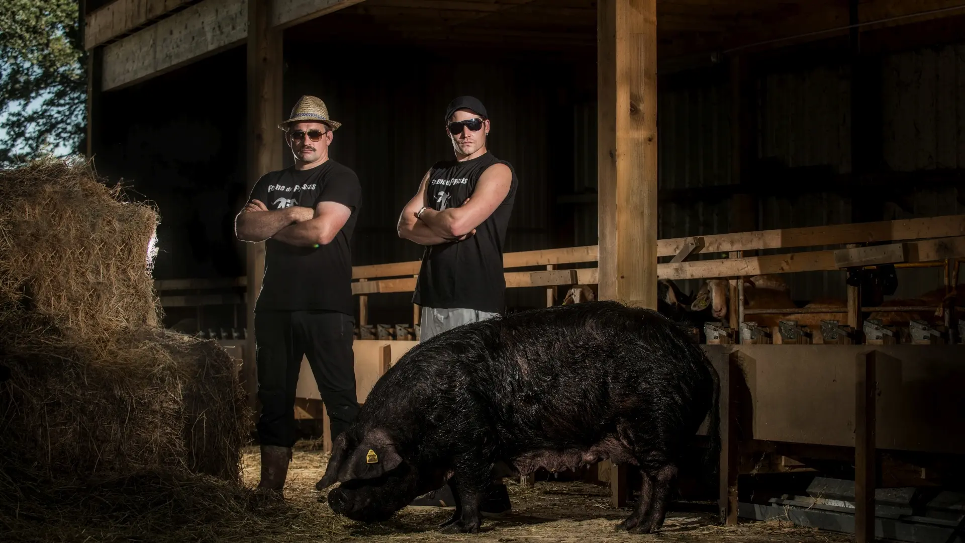 La Ferme du Payssas à Asasp-Arros