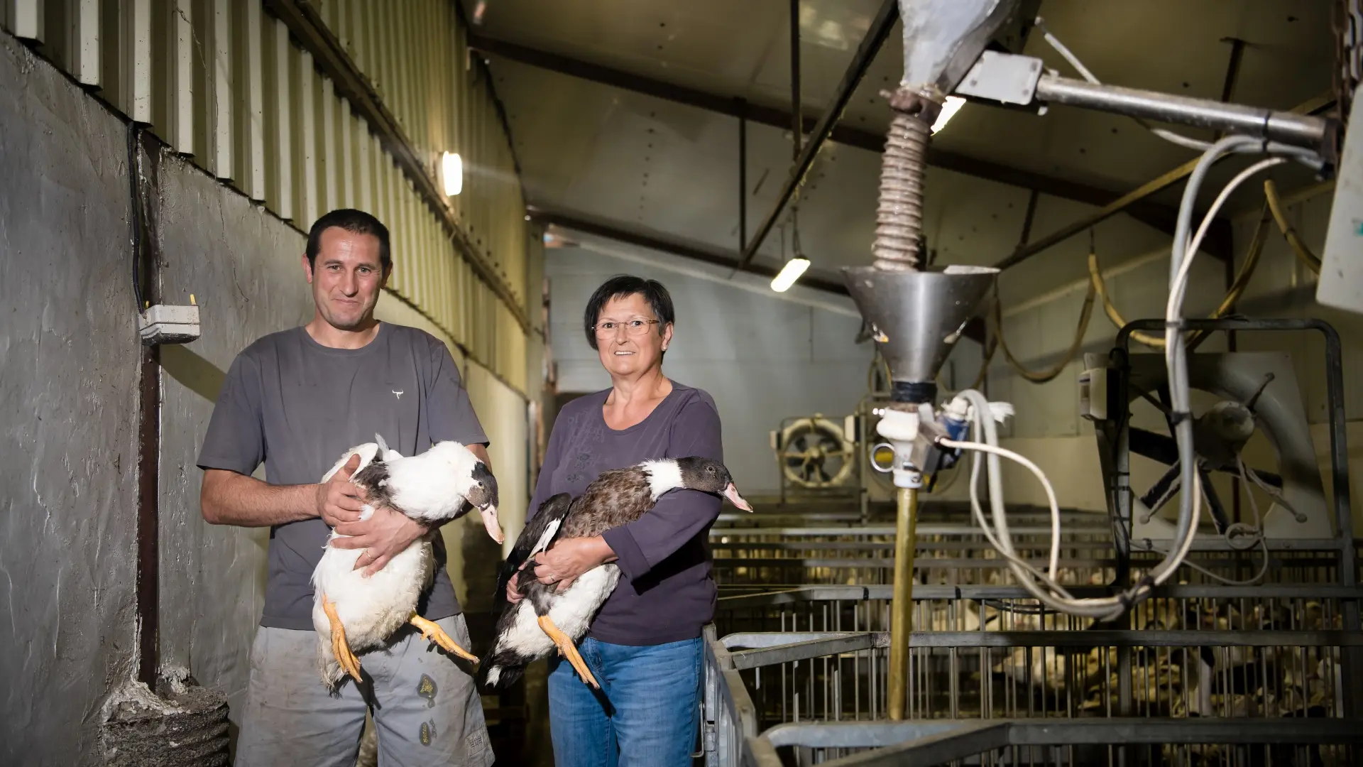 La ferme Hondet à Lasseubetat