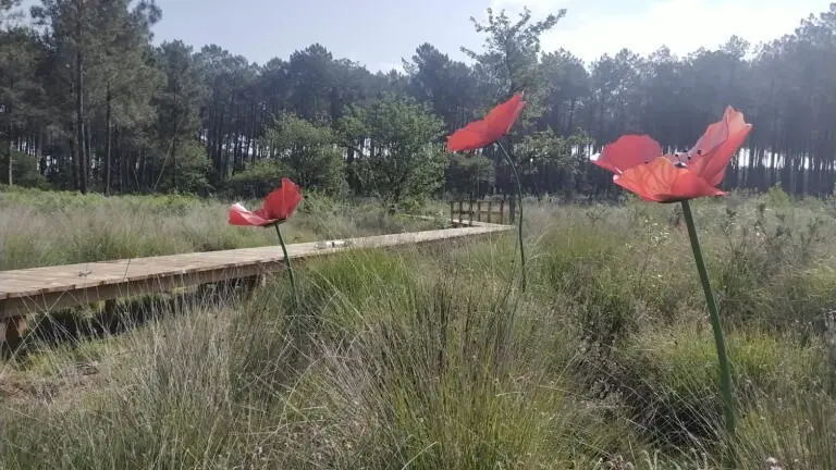 LEON-JardinCôted'Argent-1