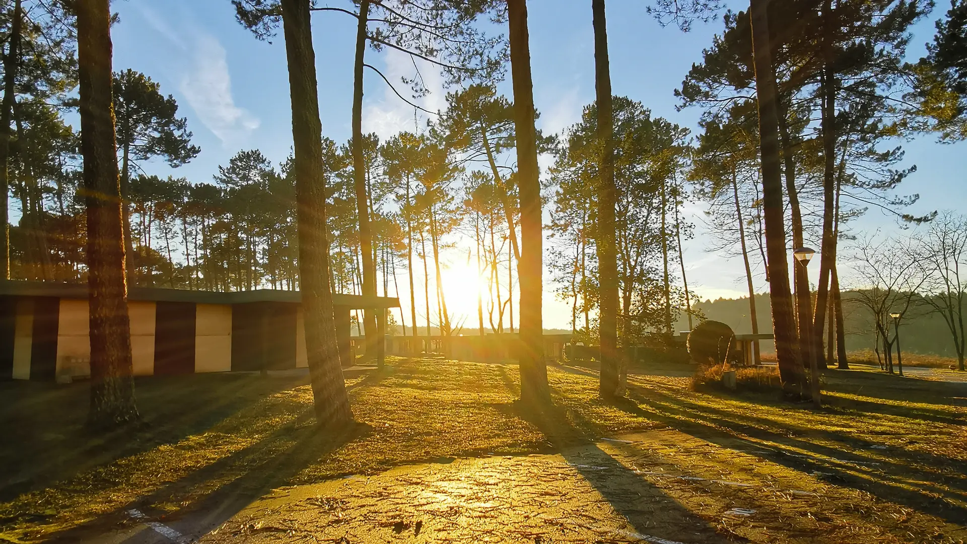 LEON_SC Les Pins coucher soleil