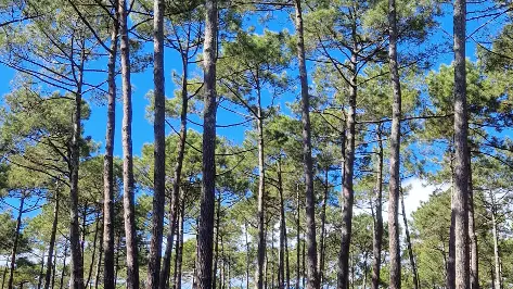 LIT-CampingCap_Camping_Cap_03