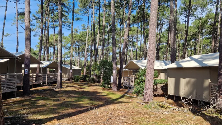 LIT-CampingCap_Camping_zone_lodges_01