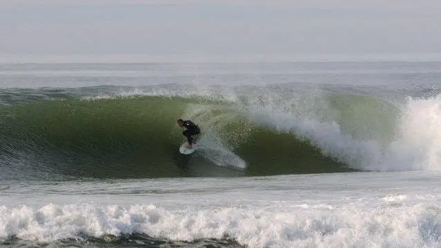 LIT_Ocean lovers (1)TS