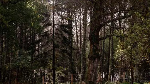 La_Bergerie-Le_Chot-005-Yohan_ESPIAUBE