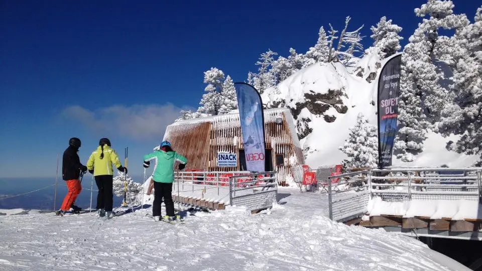 La Palombière de Domi