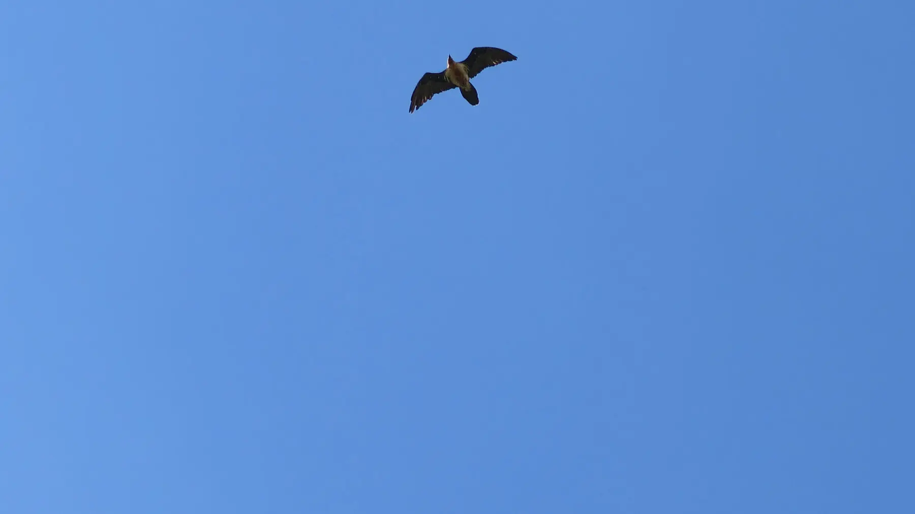 Lac du montagnon par le col d'Iseye