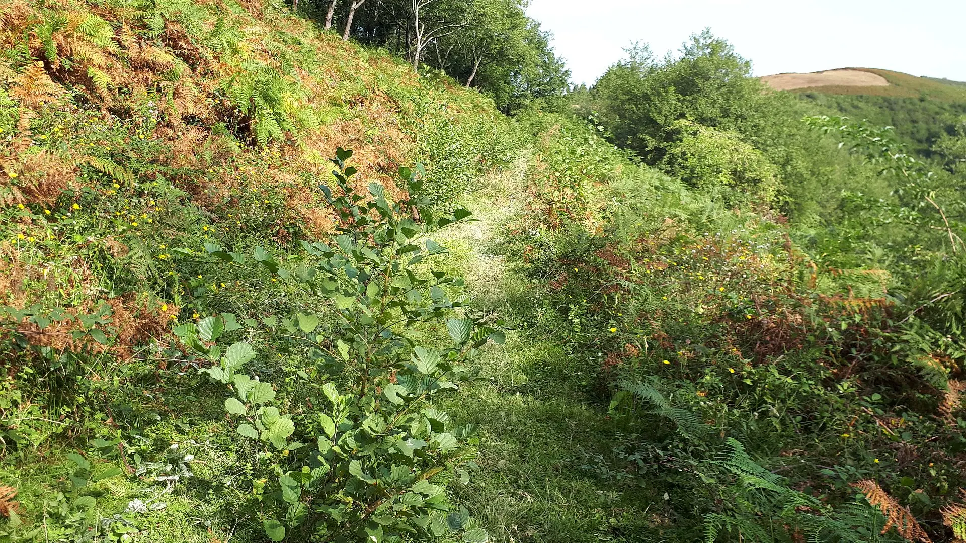 VTT N°16 - Le Tremey