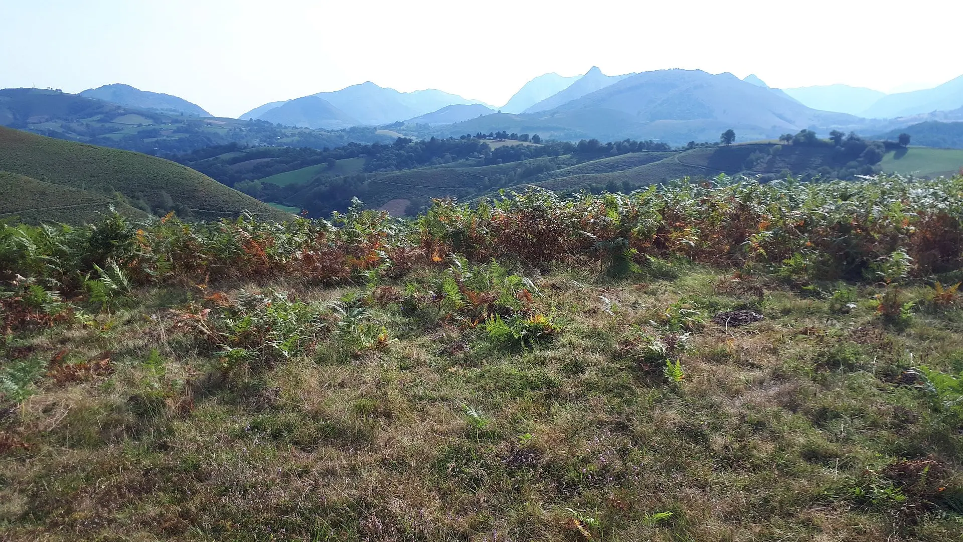 VTT N°16 - Le Tremey