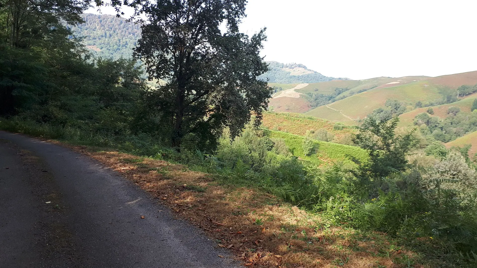 VTT N°16 - Le Tremey