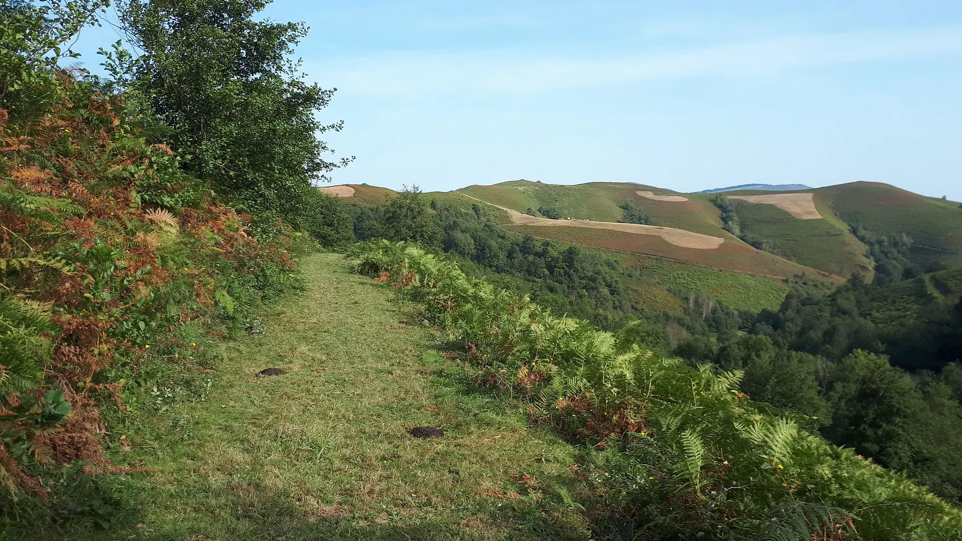 VTT N°16 - Le Tremey