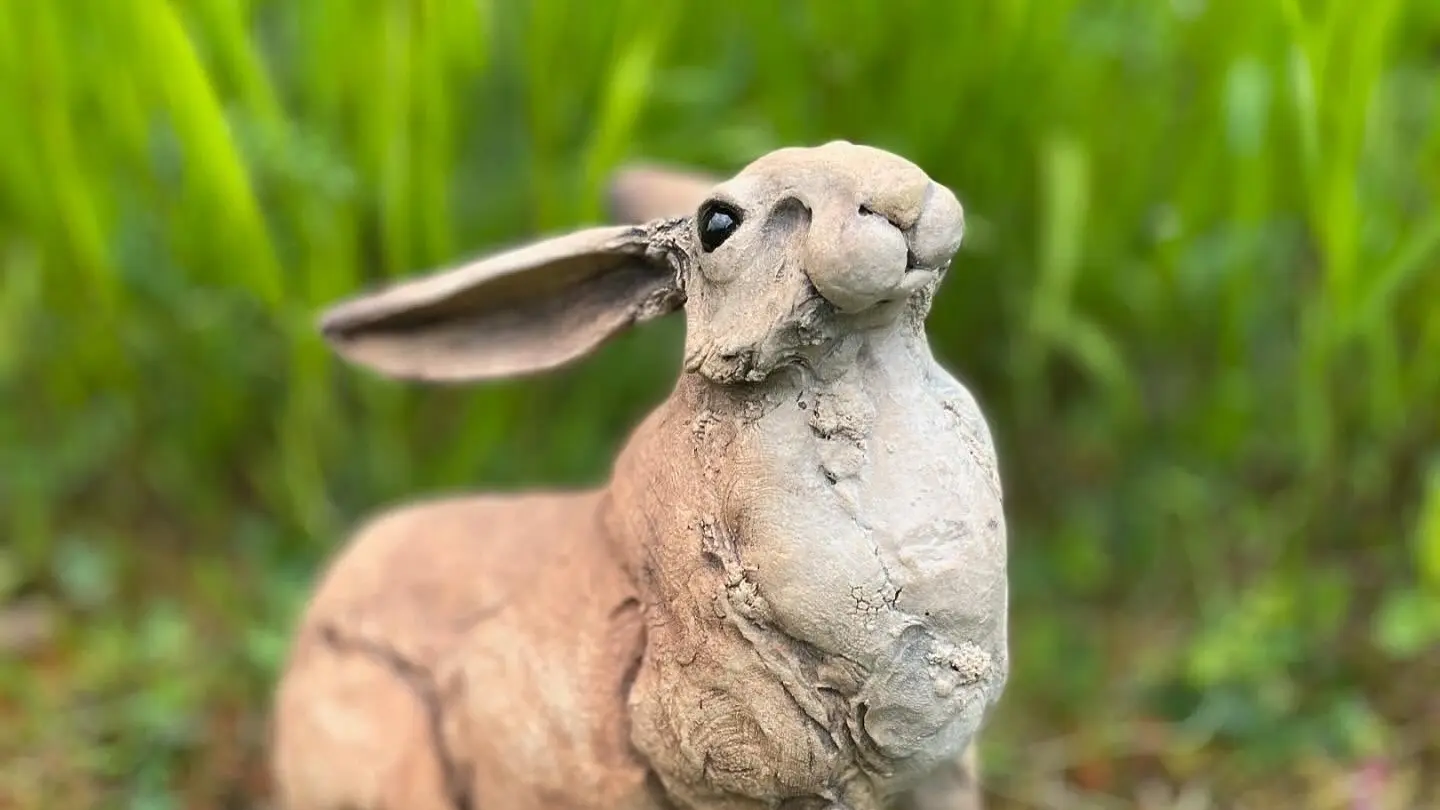 Le lièvre dans l'herbe  - Gaelle Guingant -Convert