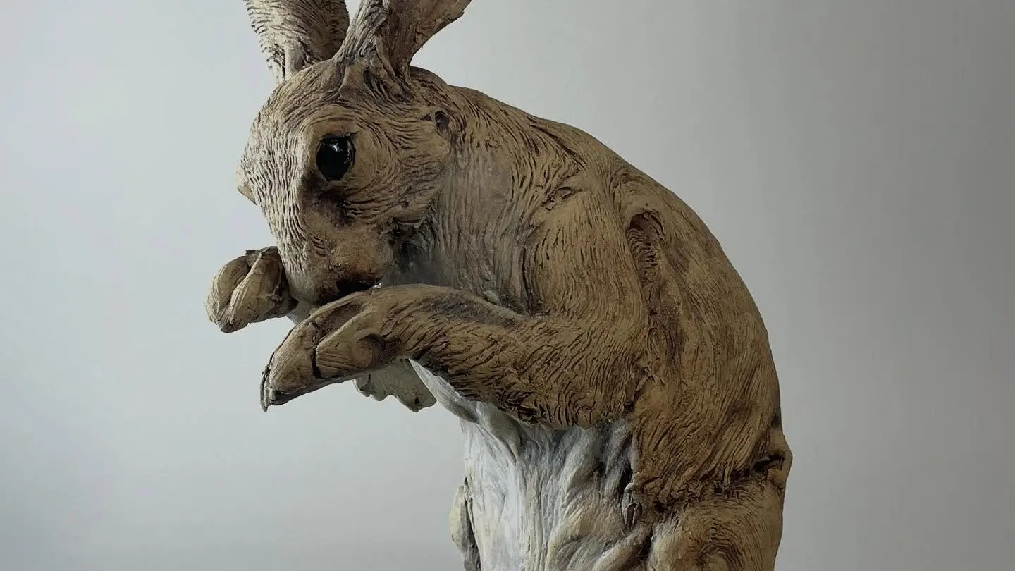 Lievre - Gaelle Guingant -Convert