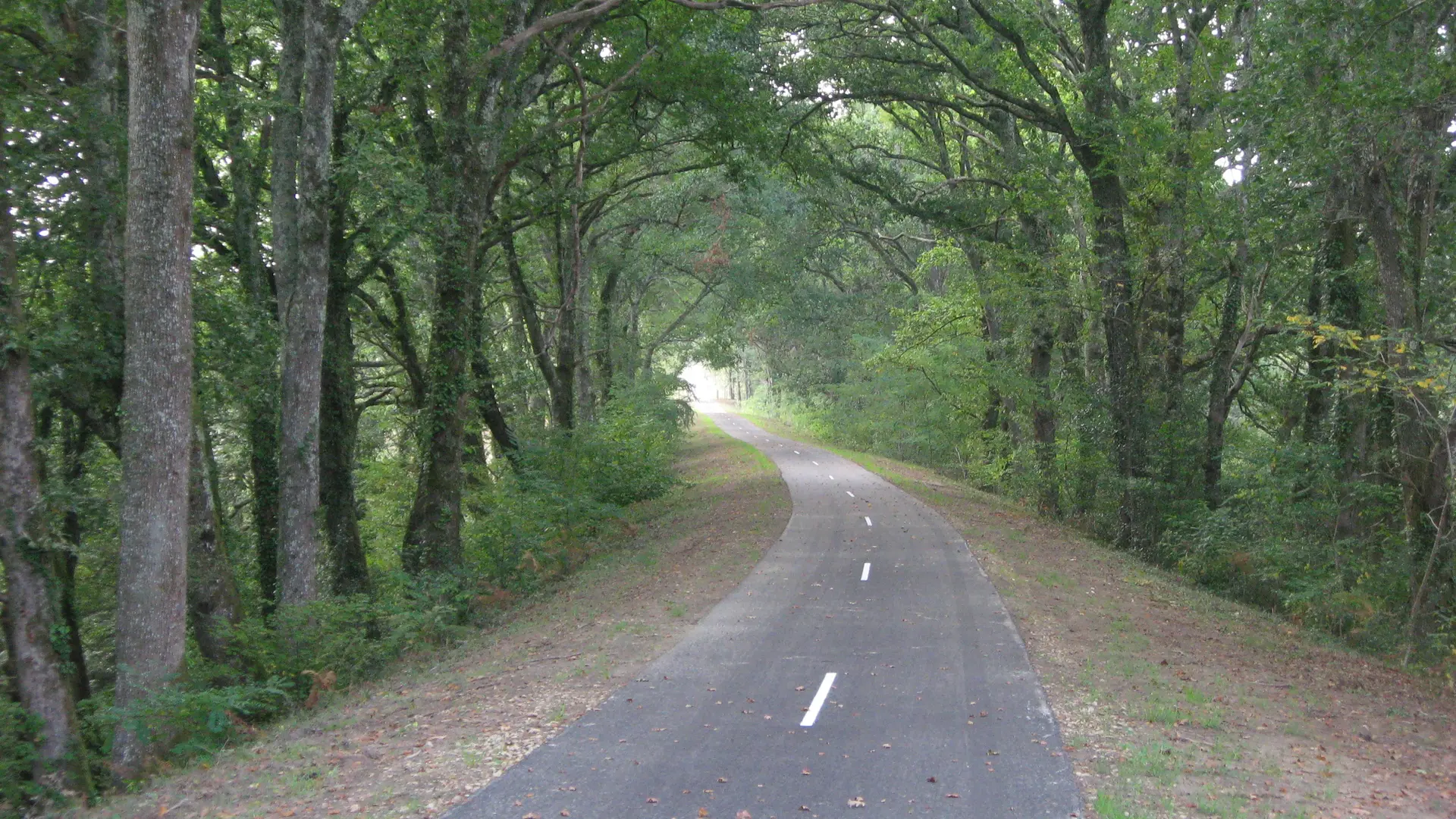 PRADET Marynette - LEVIGNACQ - Piste cyclable