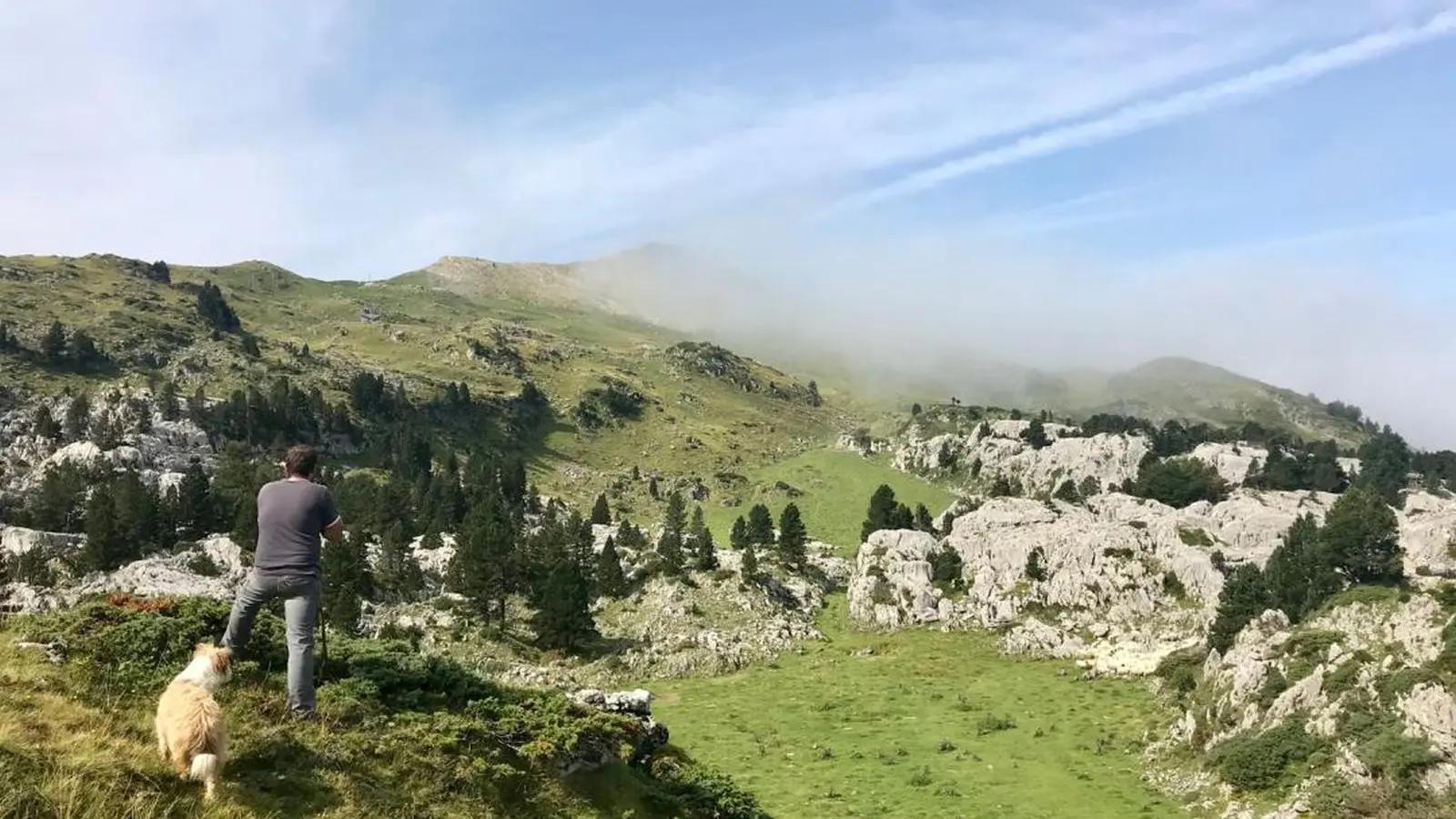 Troupeau en estive à La Pierre Saint-Martin