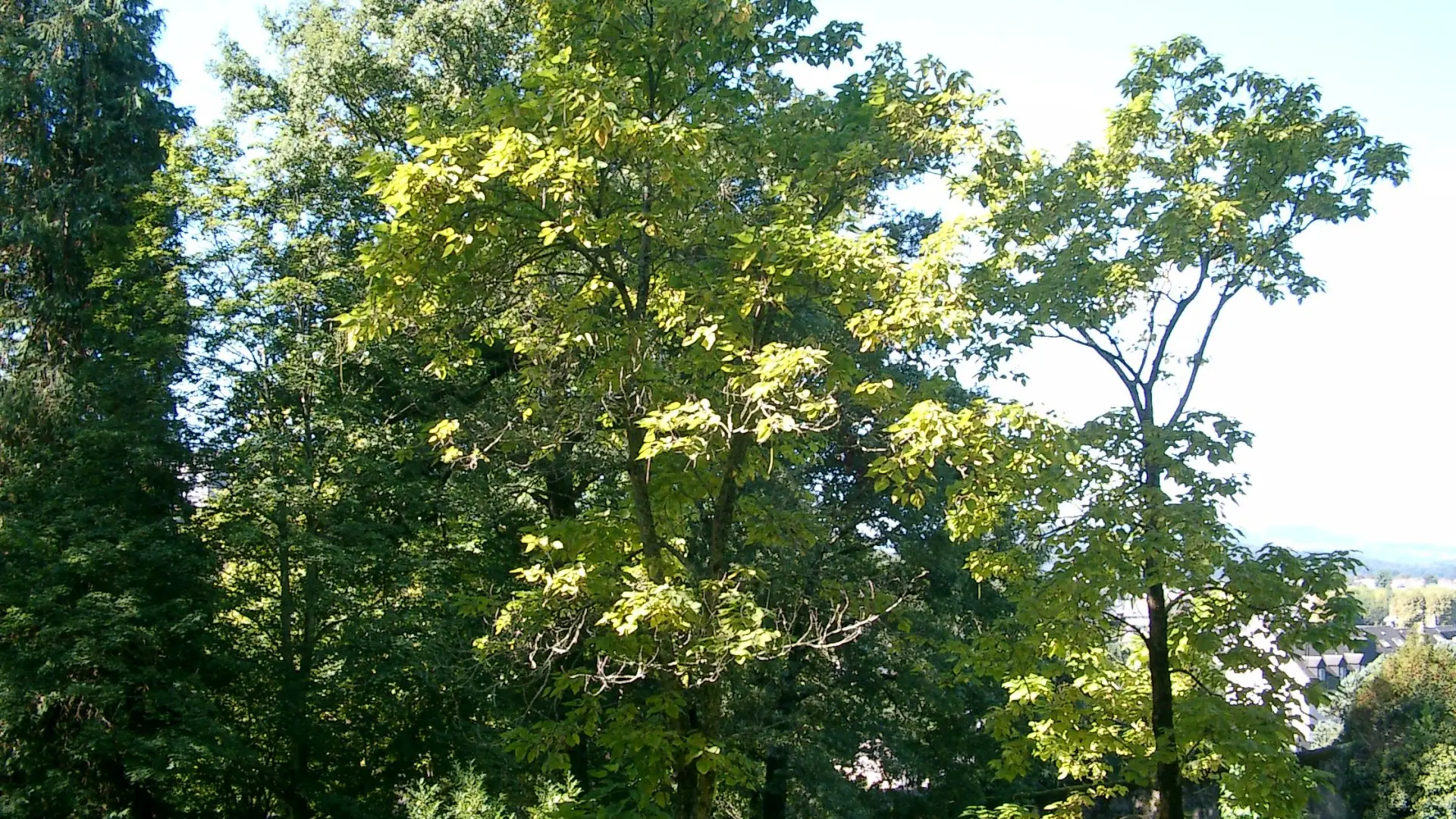 Parc-Pomme-II-OLORON-SAINTE-MARIE-OTHB-DI