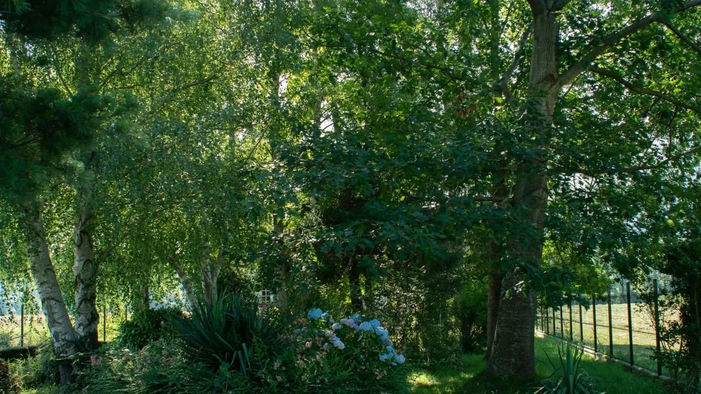 Parc arboré