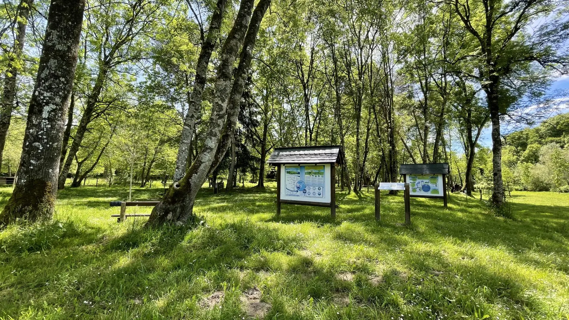 Parcours santé de St-Pée - Panneaux - OLORON SAINTE-MARIE (©OTHB)