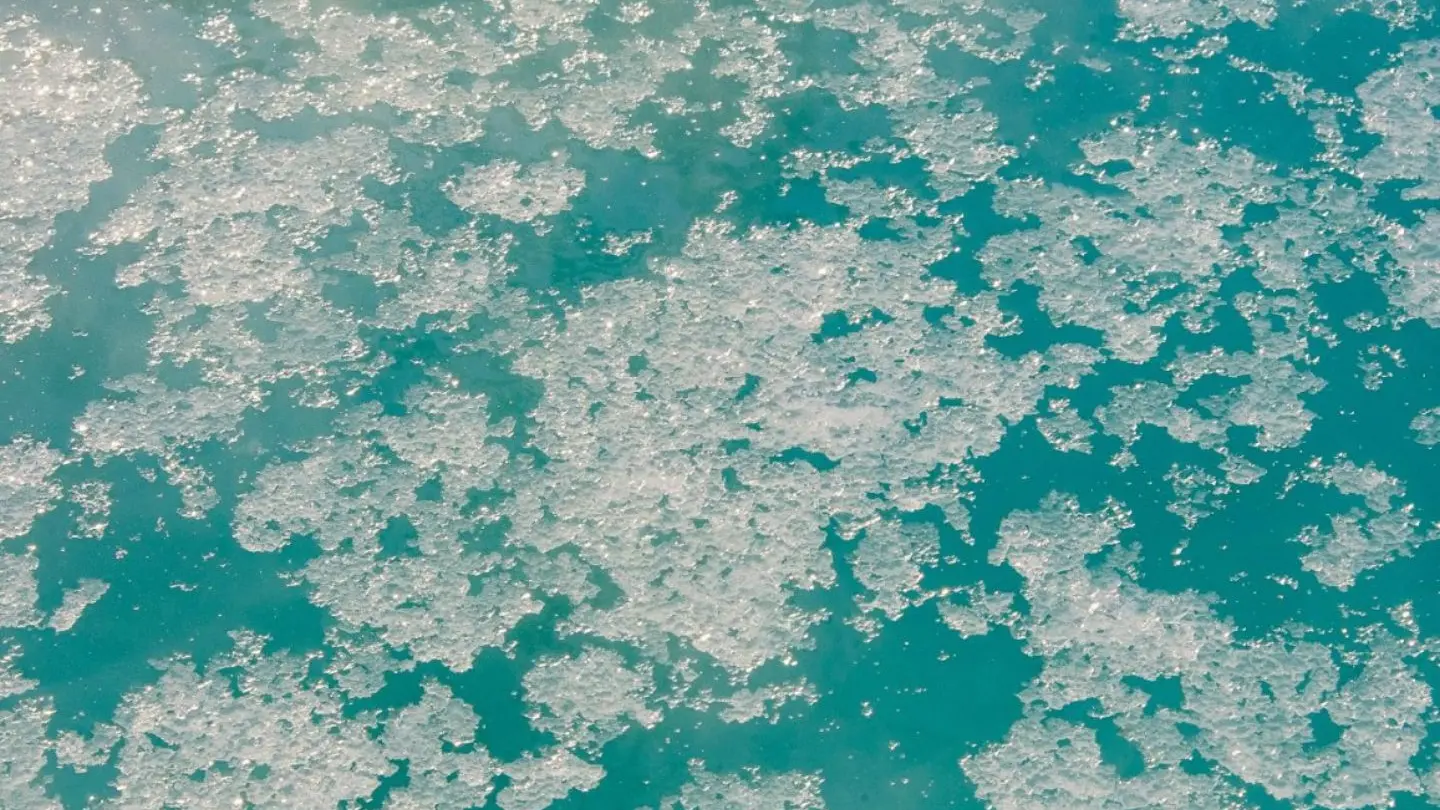 Pôle Muséographique des salines