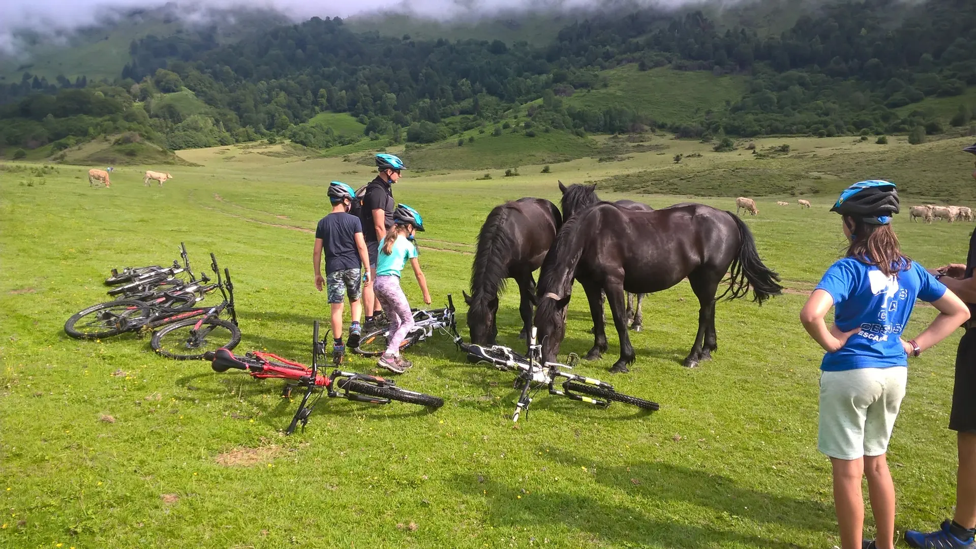 Sortie famille en VTT