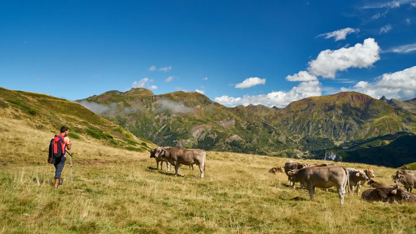 Randonnee-au-lac-d-Estaens-VI---URDOS---ABACO-DIGITAL----DI