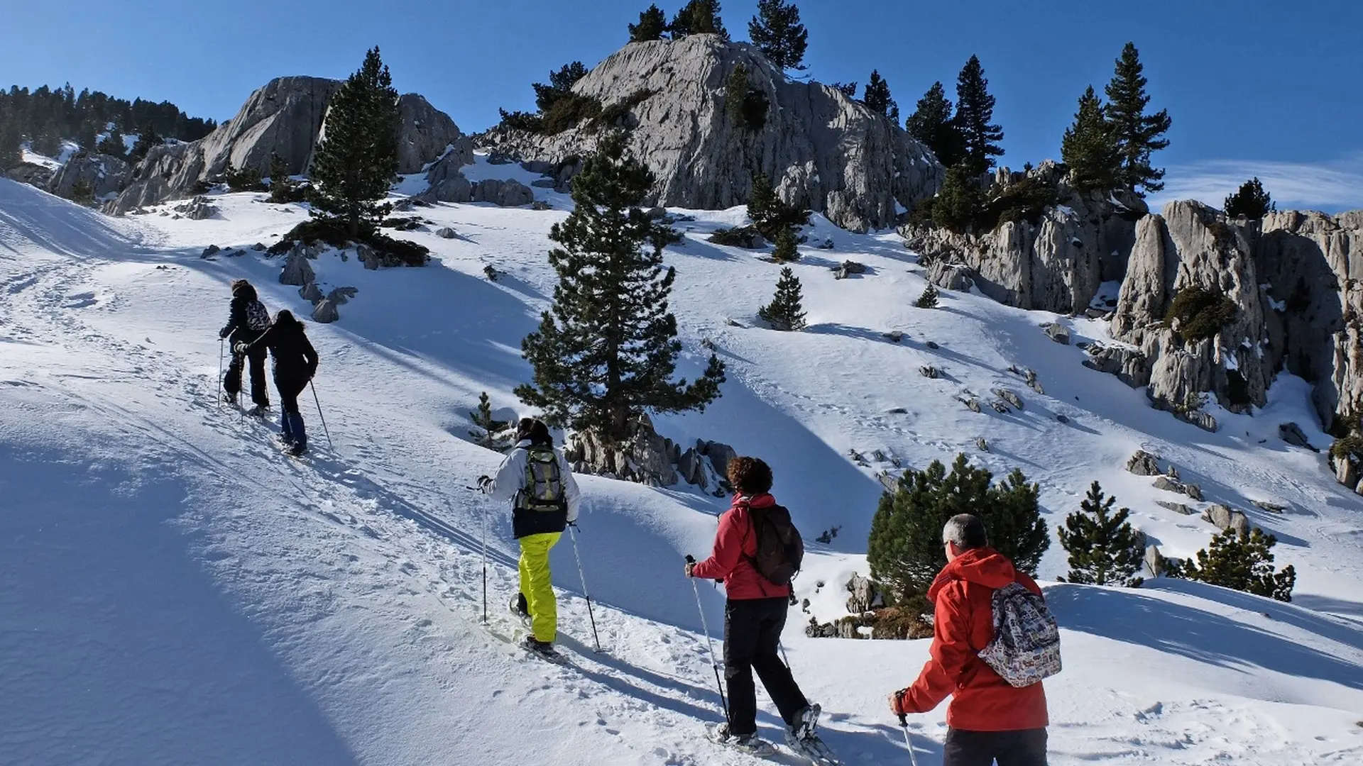 Sortie raquettes à neige à La Pierre Saint-Martin