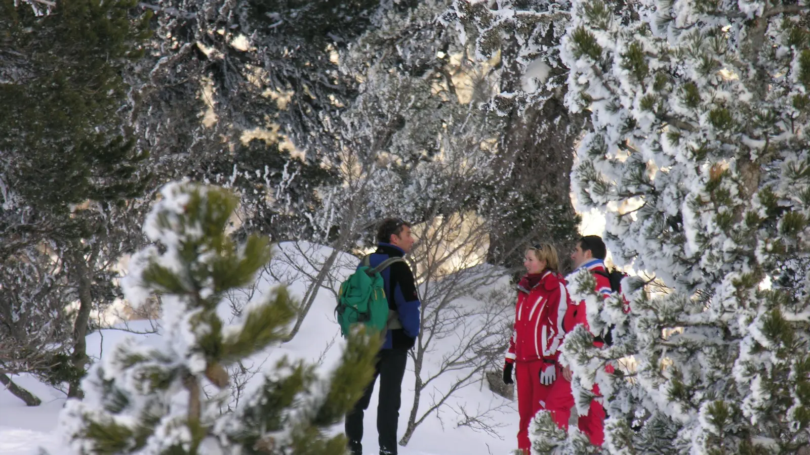 Sortie raquettes en forêt autour de La Pierre Saint-Martin