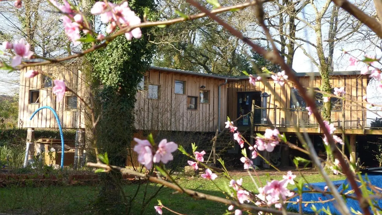 Sur un livre perché_Saubion_Landes Atlantique Sud