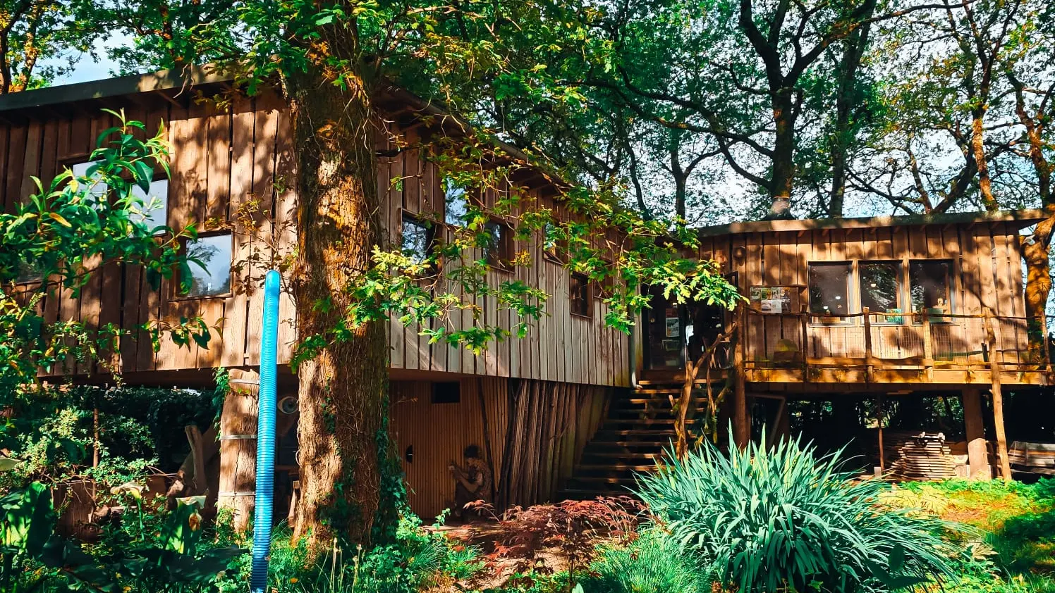 Sur un livre perché_Saubion_Landes Atlantique Sud