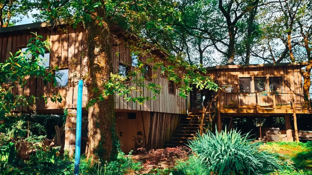 Sur un livre perché_Saubion_Landes Atlantique Sud