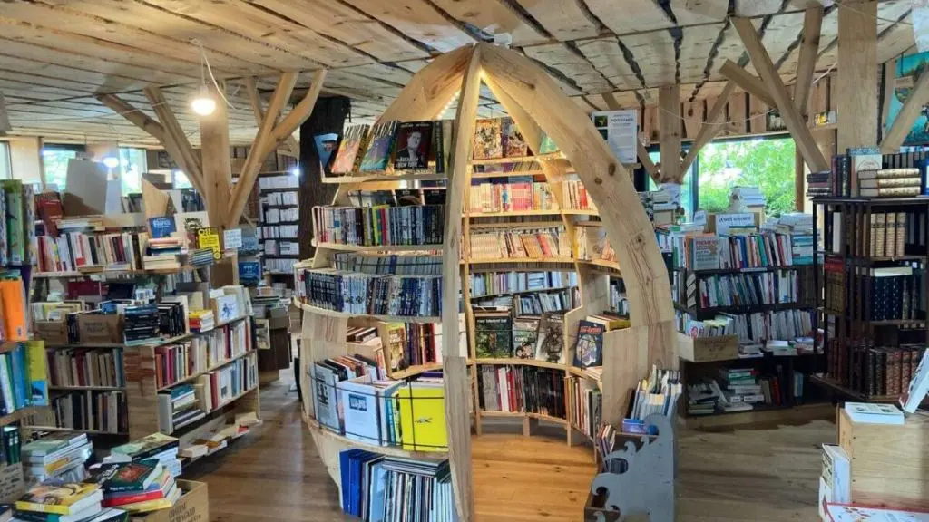 Sur un livre perché_Saubion_Landes Atlantique Sud