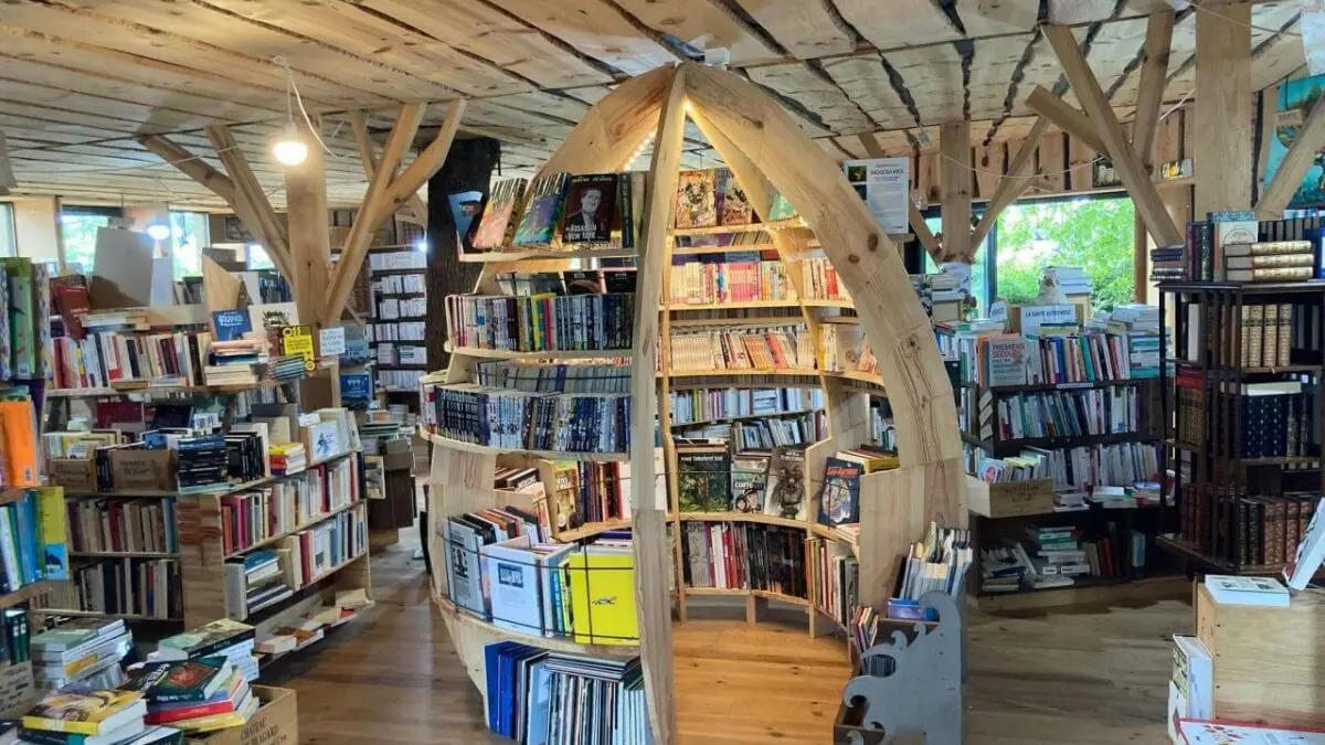 Sur un livre perché_Saubion_Landes Atlantique Sud