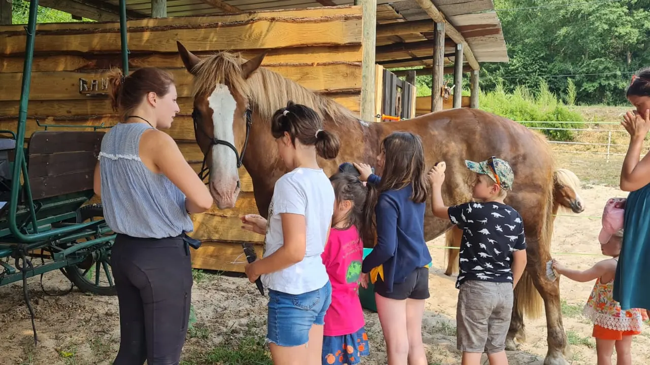 STJU_La Roue Libre 40 (10)