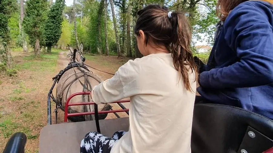 STJU_La Roue Libre 40 (2)