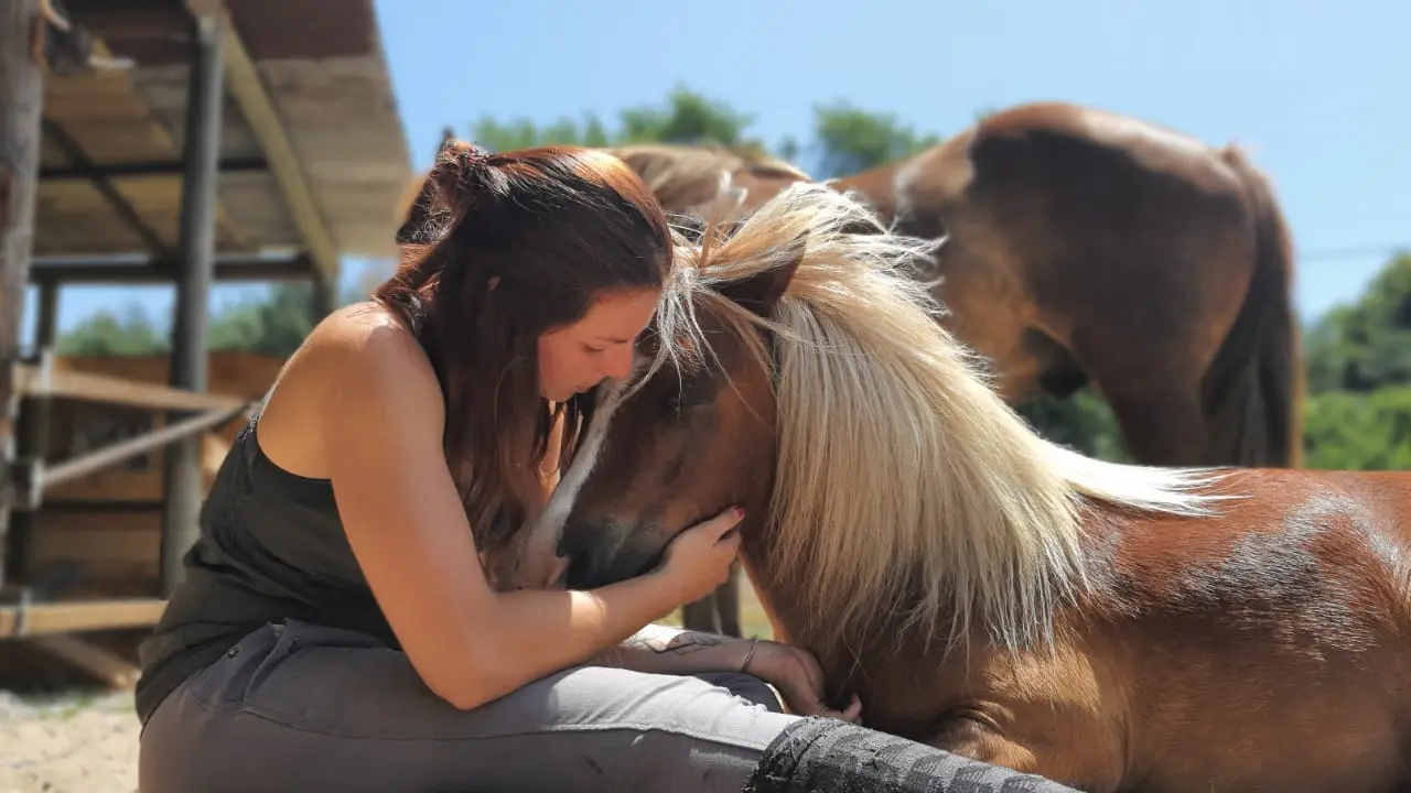 STJU_La Roue Libre 40 (8)