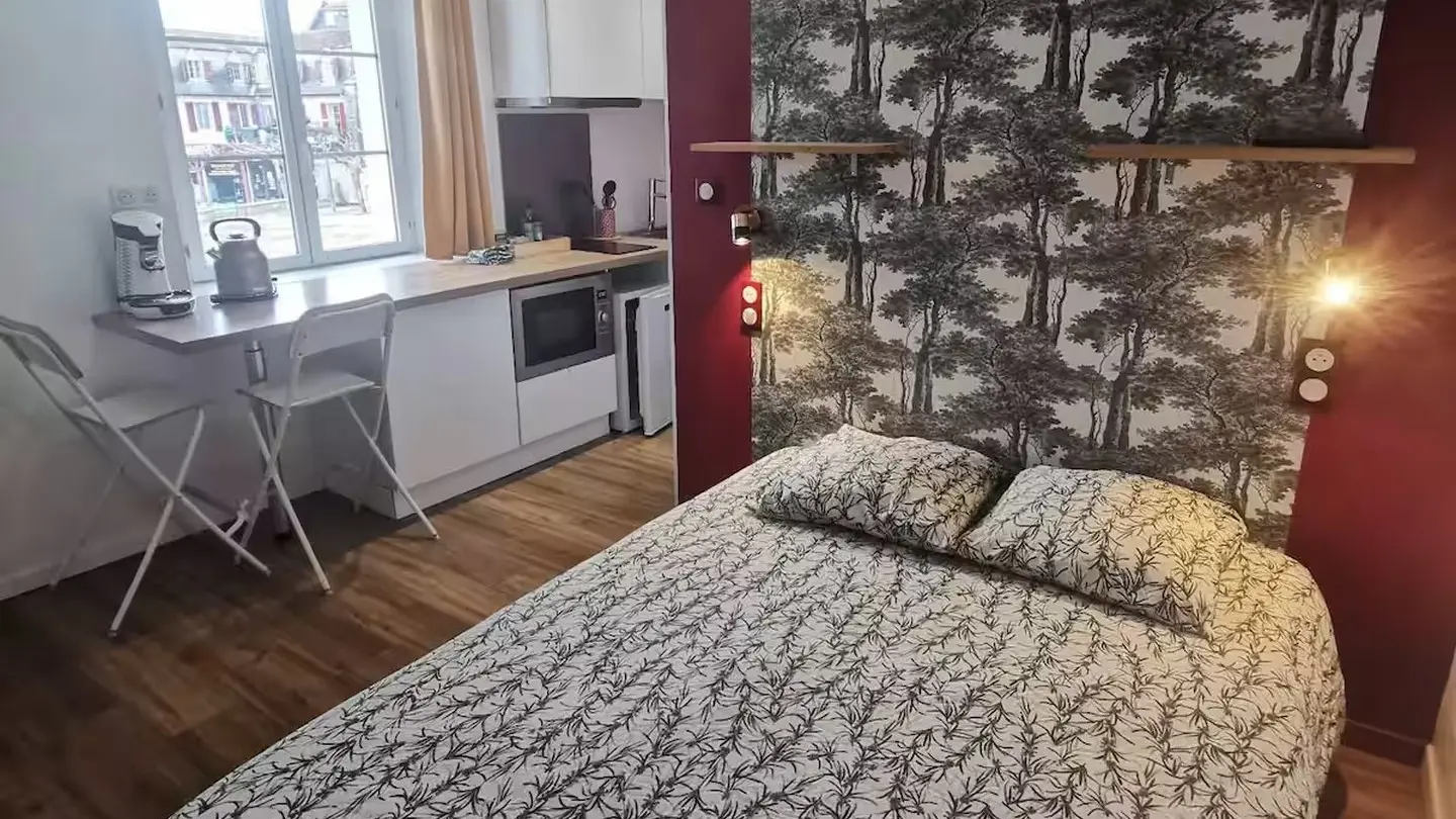 Les appartements du centre - Le Sureau