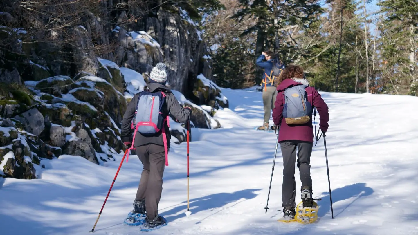 Parcours Tèrra Aventura 