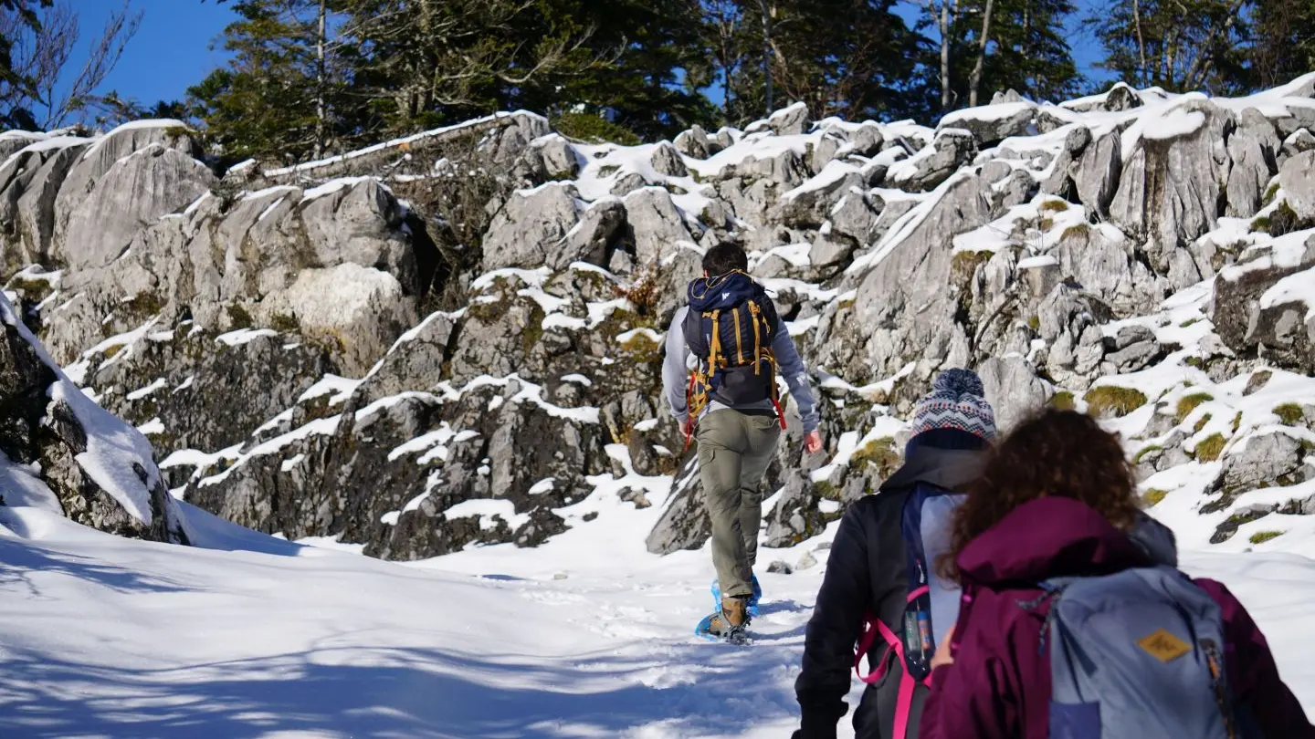 Parcours Tèrra Aventura 