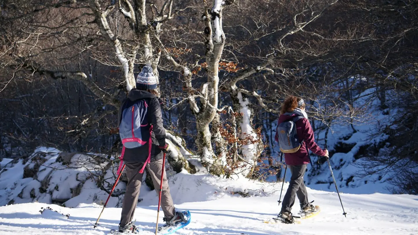 Parcours Tèrra Aventura 