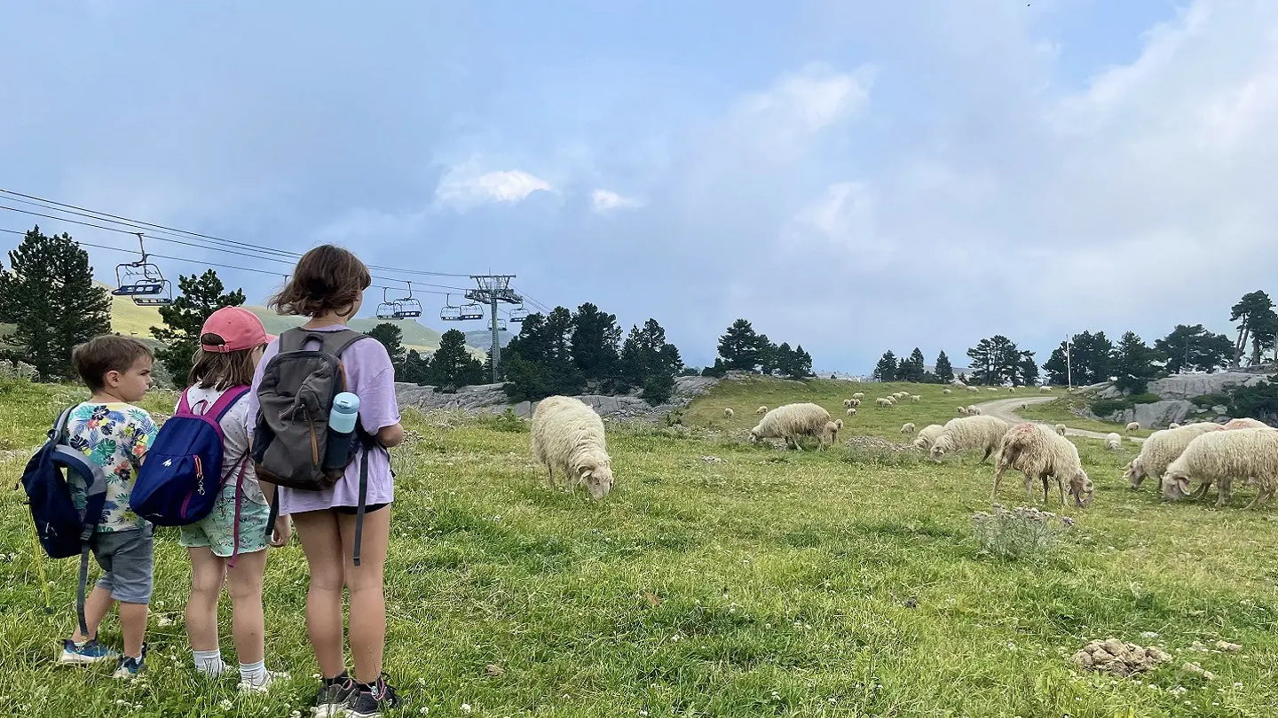 Pastoralisme sur le parcours Tèrra Aventura de La Pierre Saint-Martin