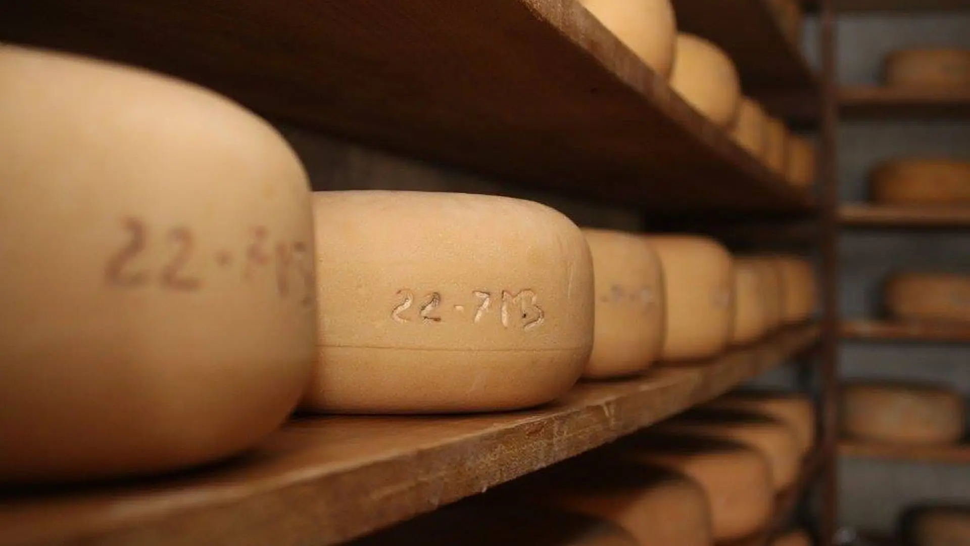 Fromages d'estive à la boutique Tot de Casa