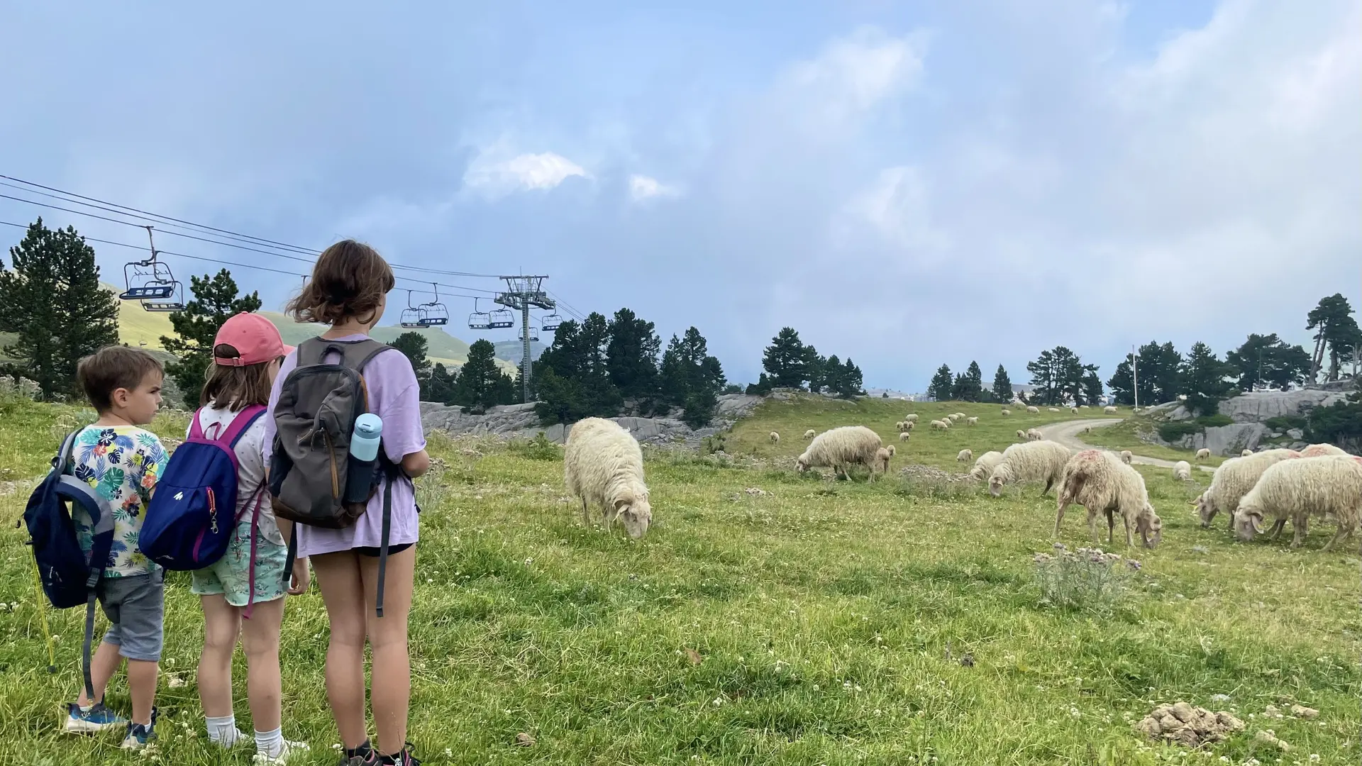 Découverte du pastoralisme à La Pierre Saint-Martin