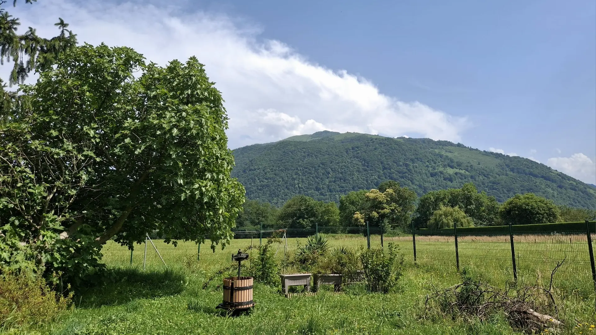 Vue sur la campagne