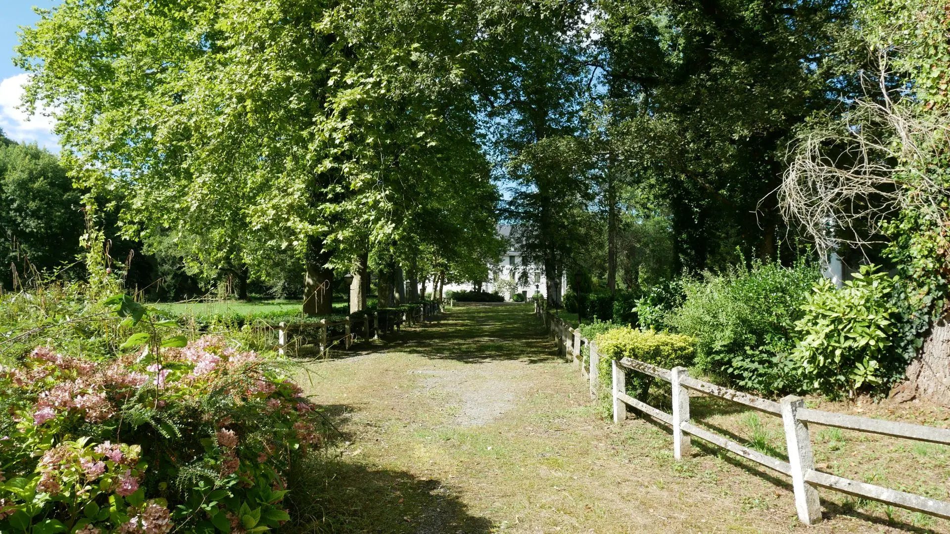 Les thermes de Saint-Christau