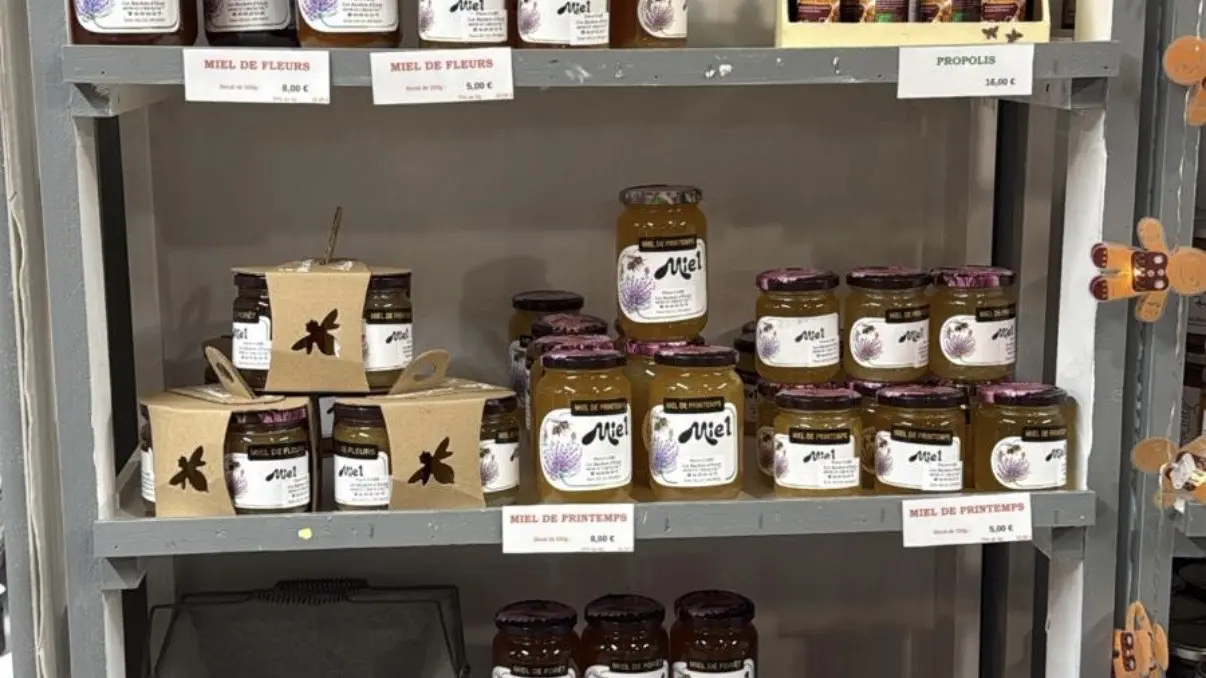 VSG_La Maison des Paysans Landais (11)