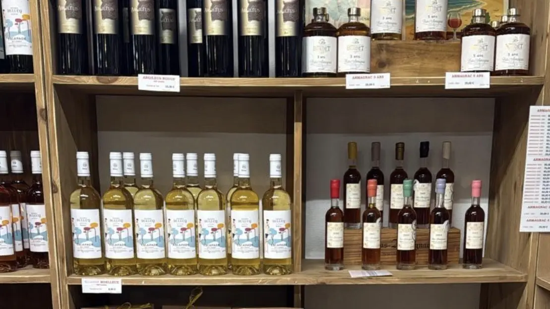 VSG_La Maison des Paysans Landais (14)