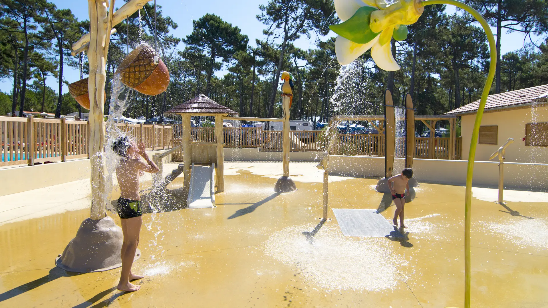 VSG_Tourterelles 2026 (7)